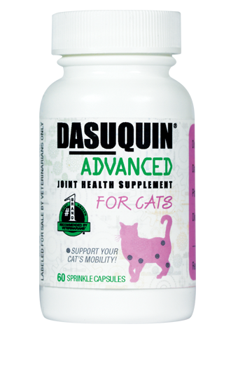 dasuquin-advanced-cats